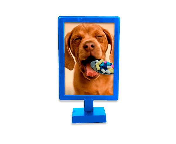 Foto Display Duplo – Azul