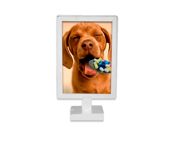 Foto Display Duplo – Branco