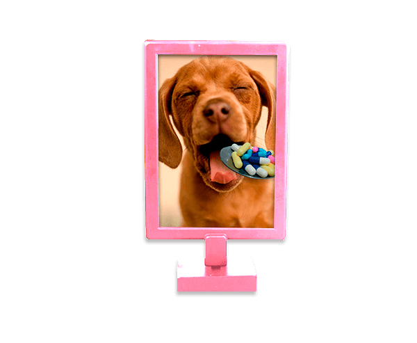Foto Display Duplo – Rosa