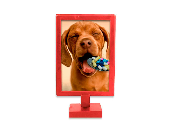 Foto Display Duplo – Vermelho